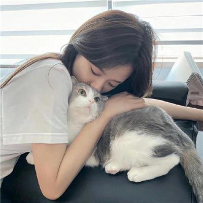 何不同舟渡